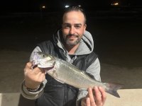 Three competitions for Gibraltar Fishing Club